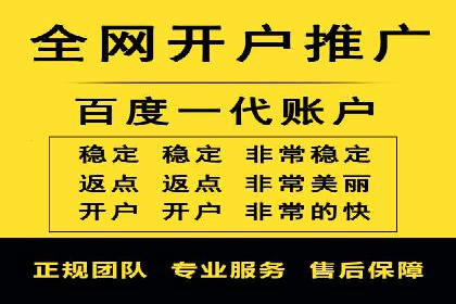 成功SEM服务案例：优化广告投放